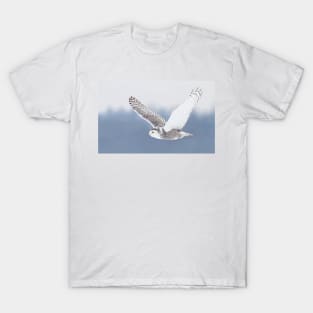 Snowy Owl T-Shirt